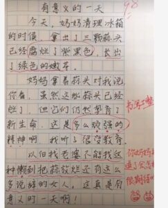 小学生作文写“我的妈妈” 老师看完这篇笑翻