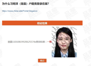 习明泽化名楚晨和花旗银行前副总裁卢洪峰结婚；卢洪峰系再婚前妻也是红后代