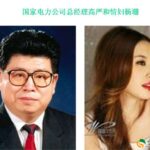 原电力部长高严有性怪癖,曾咬掉情妇杨珊乳头和下体