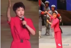 帝国主义夹着尾巴逃跑了 – 《社会主义好》被全网下架 – 张嘉译闫妮等明星怕被查税个个成傻憨祸