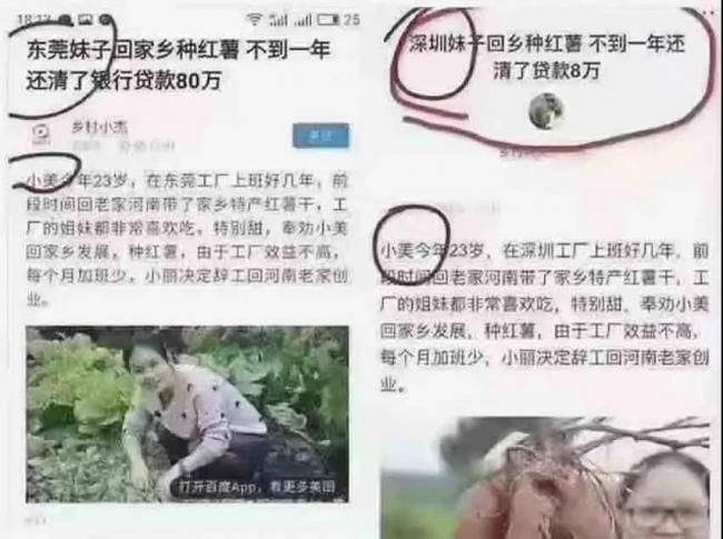 东莞妹子小美回河南老家种红薯，不到一年还清了80万贷款