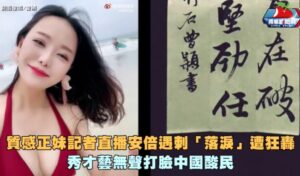 美女记者为安倍落泪 秀才艺无声打脸中国酸民