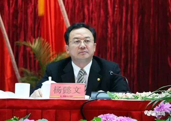 落马时吓尿裤子的杨杨懿文贪官书记，被披露出更多细节…