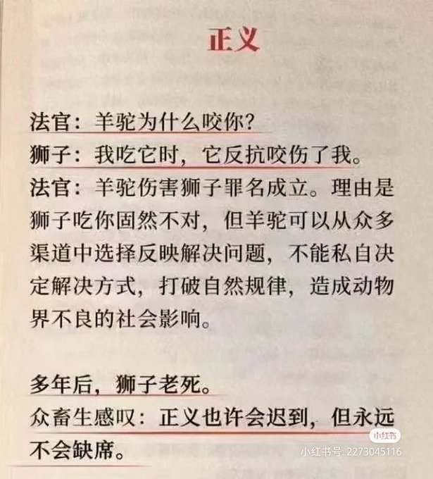 中国社会狮子羊驼