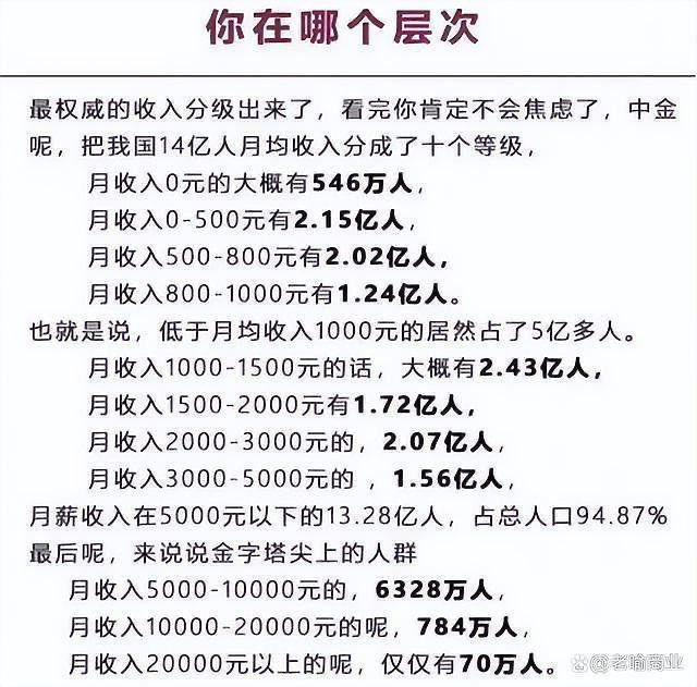 中国收入阶层分析