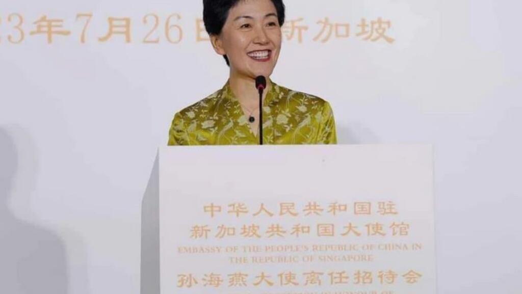 中共中央对外联络部副部长、前中国驻新加坡大使孙海燕资料图片