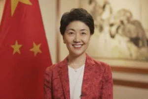 中联部副部长孙海燕被有关部门抓捕