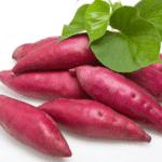 黄继光堵枪眼完全不可能，文宣干部闭门造车的产物, 是经典谎言！