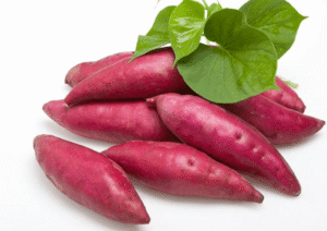 黄继光堵枪眼完全不可能，文宣干部闭门造车的产物, 是经典谎言！